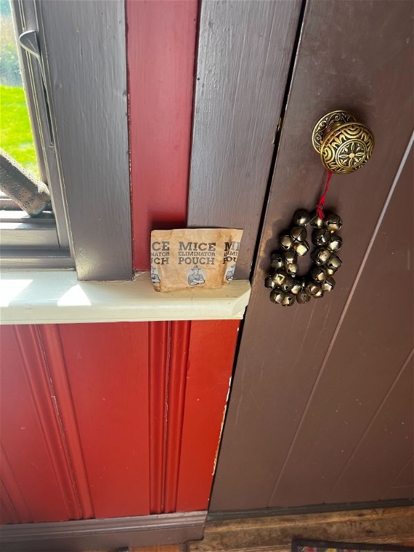 Customer photo review of Mice Eliminator Pouches