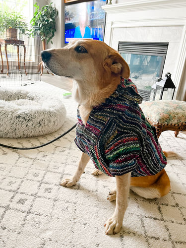 Customer photo review of Playa Poncho - Surprise Color