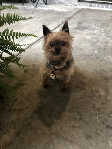 Customer photo review of Mountain Silicone