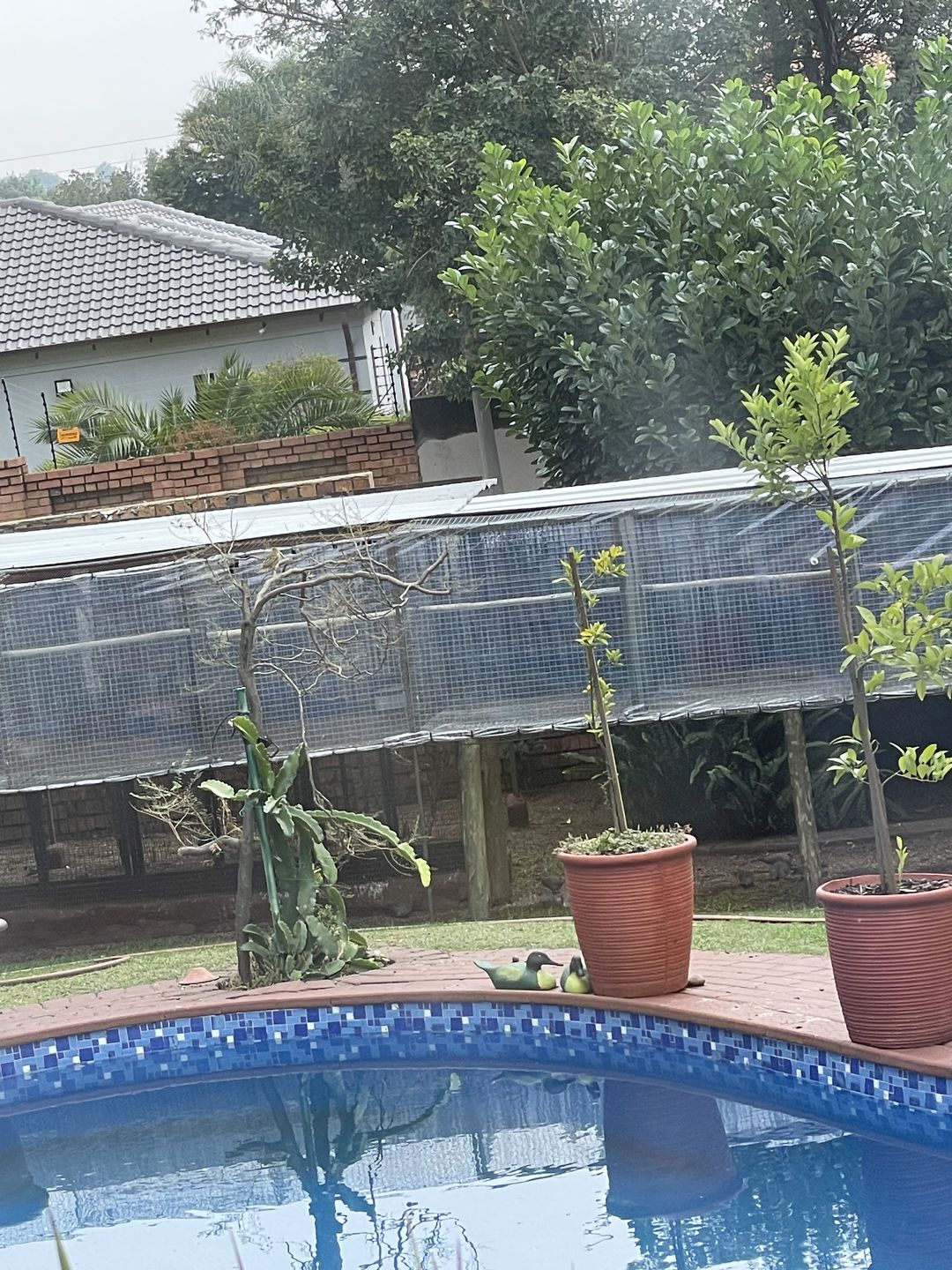 Customer photo review of Clear Plastic