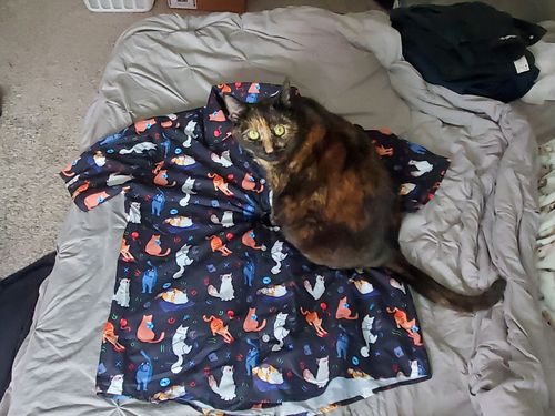 Customer photo review of Video Game Cats Dark Button Up Shirt