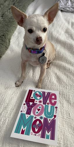 Customer photo review of Explorer Silicone