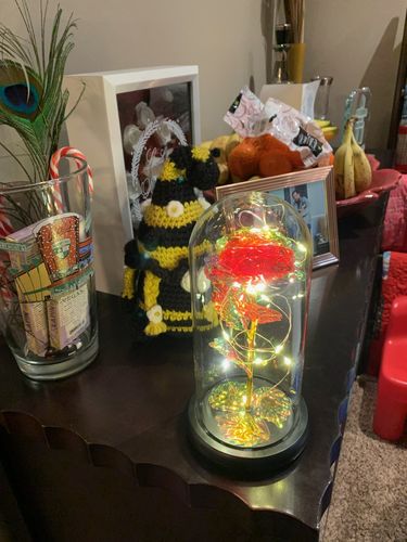 Customer photo review of Enchanted Galaxy Forever Rose™