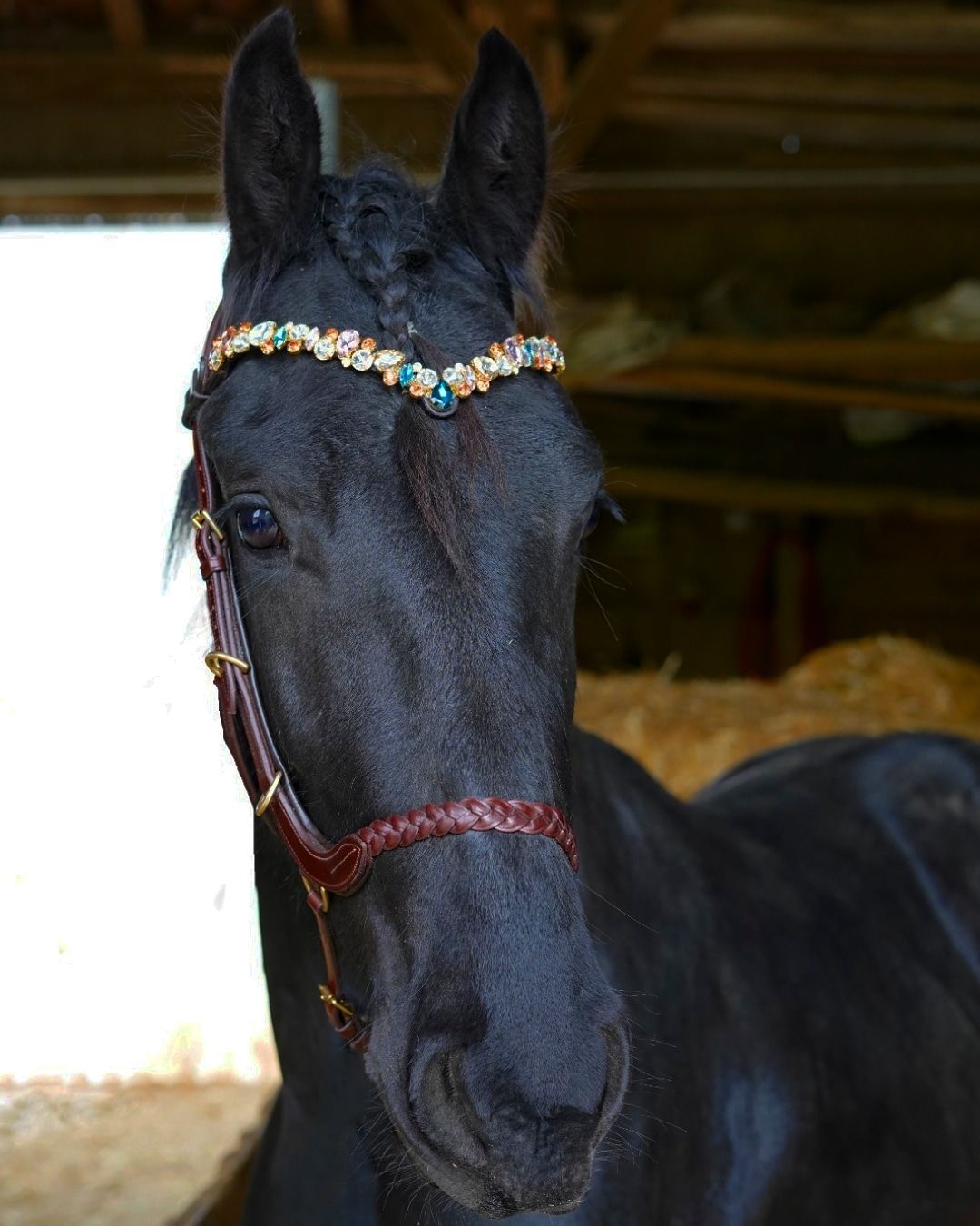 Customer photo review of Ania browband