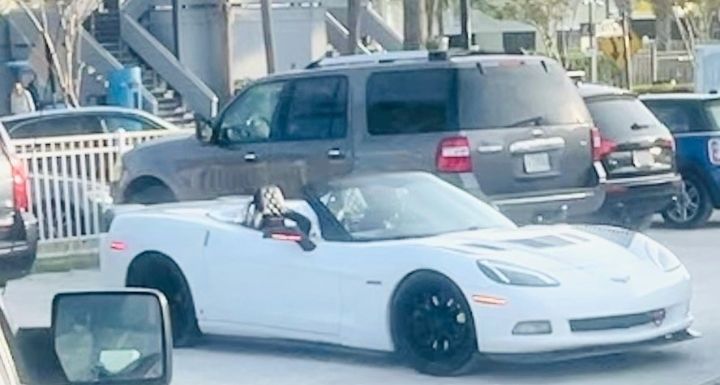 Customer photo review of Corvette C6 Base | ZR1 Conversion Side Skirts Rocker Panels