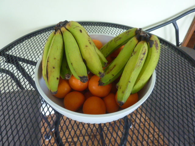 Customer photo review of Gros Michel Banana Box