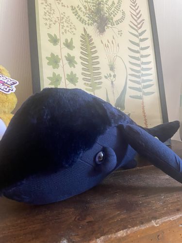 Customer photo review of The Whale