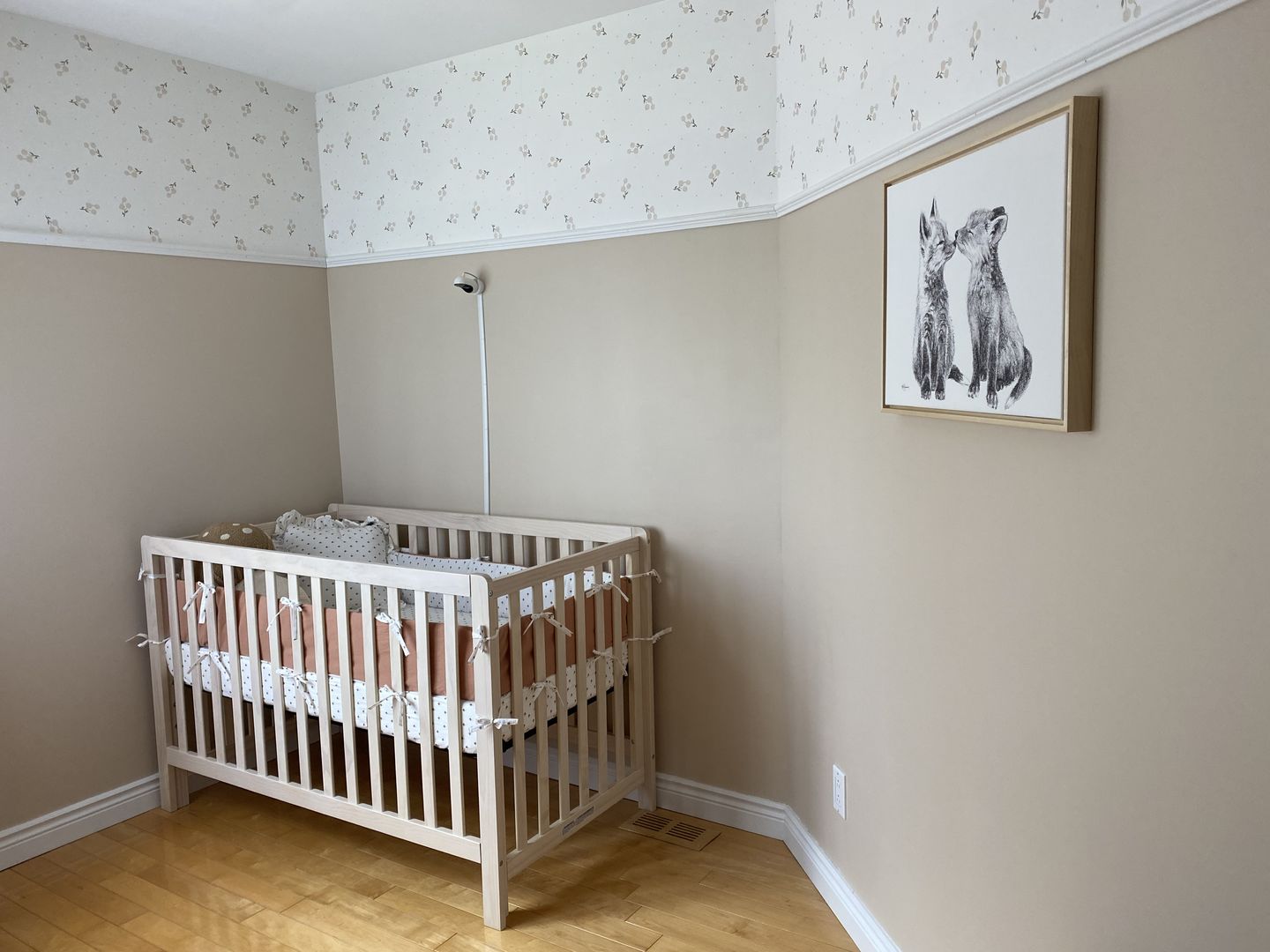 Customer photo review of Adorable Baby Foxes