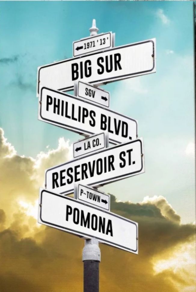Customer photo review of Custom Kid Birth Date + Name Personalized Street Sign Canvas Wall Art