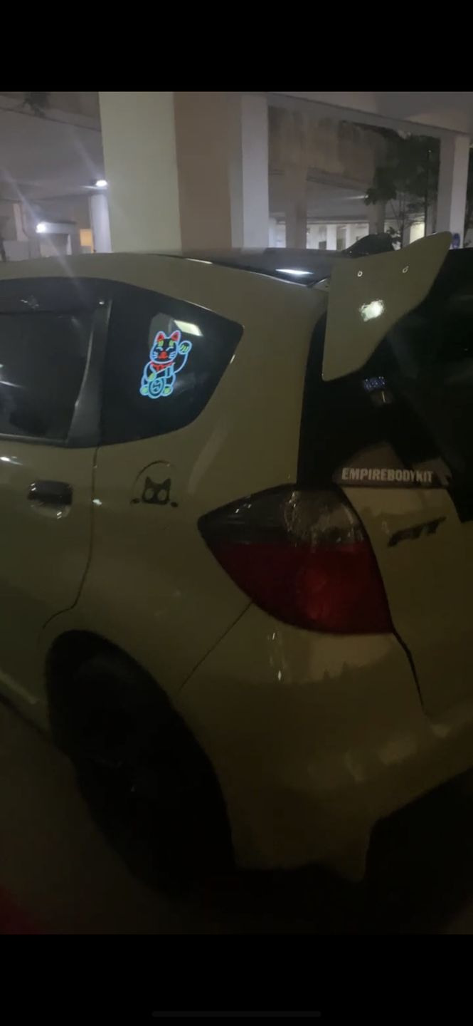 Customer photo review of Lucky Cat USB Electric Sticker