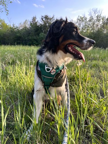 Customer photo review of Explorer Silicone