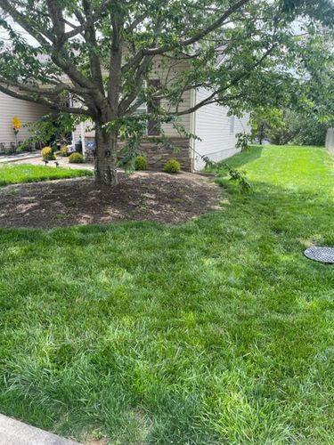 Customer photo review of Flowzone Cyclone 2.5