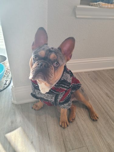 Customer photo review of Playa Poncho - Surprise Color