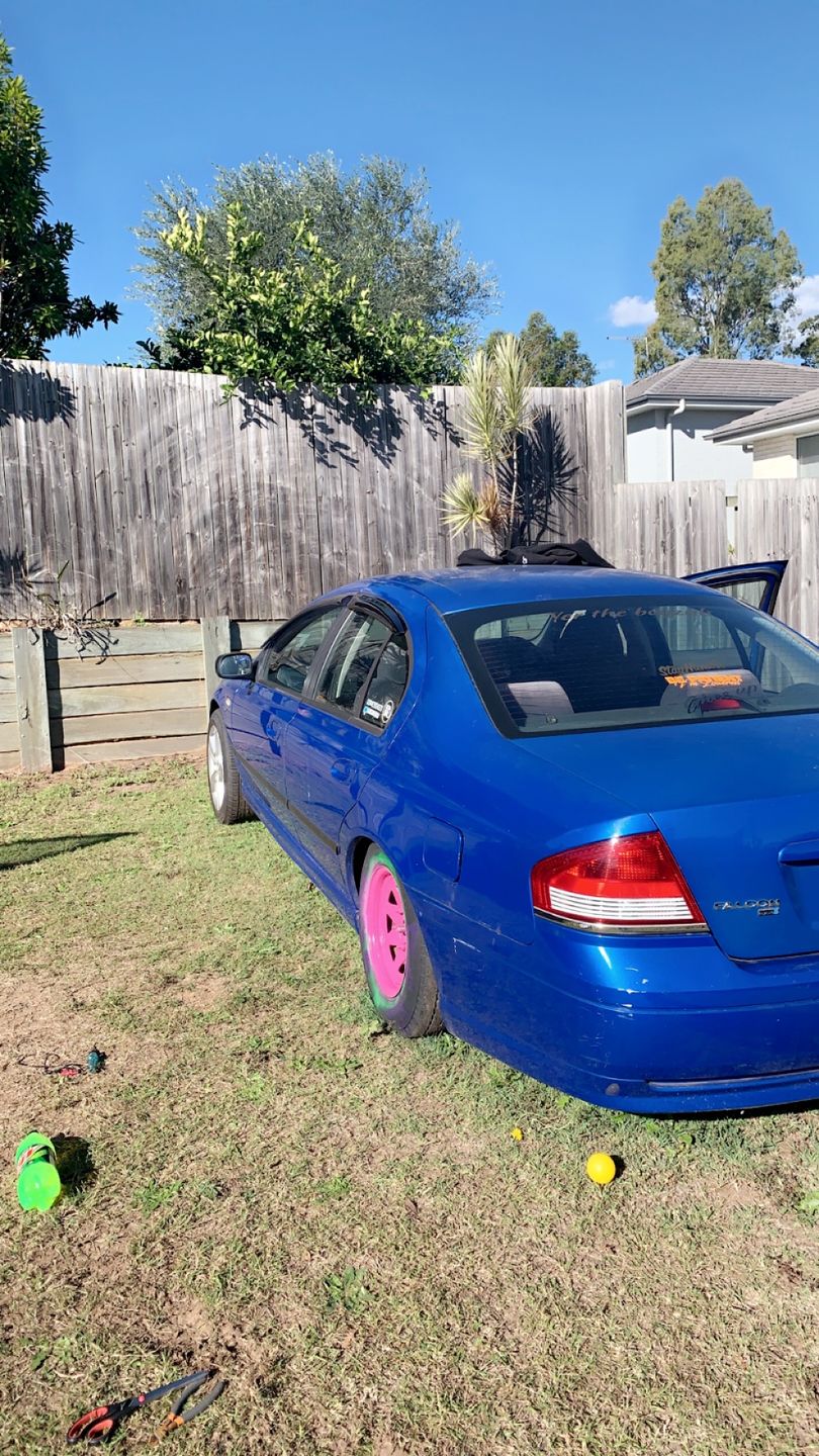 Customer photo review of Custom Text Decal (60cm)