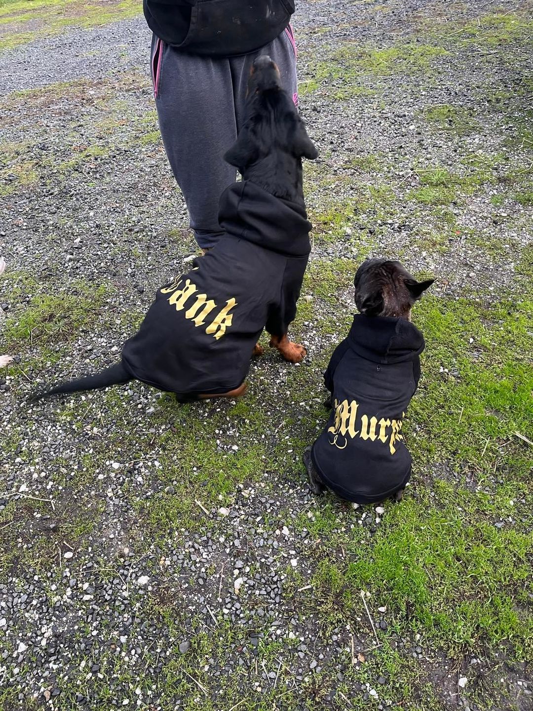 Customer photo review of Gangsta Yapper Dog Hoodie - Personalised