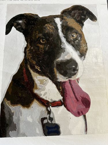 Customer photo review of Custom Paint By Numbers Kit - Upload Your Photo - Brush Set Included