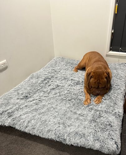 Customer photo review of PaWz  Multimat