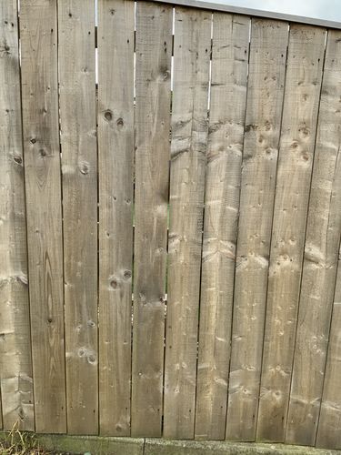 Customer photo review of Cromar Alpha Chem Wood Treatment 5 Litre - Clear