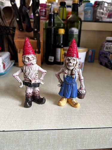Customer photo review of Just Love Skulls Garden Gnomes