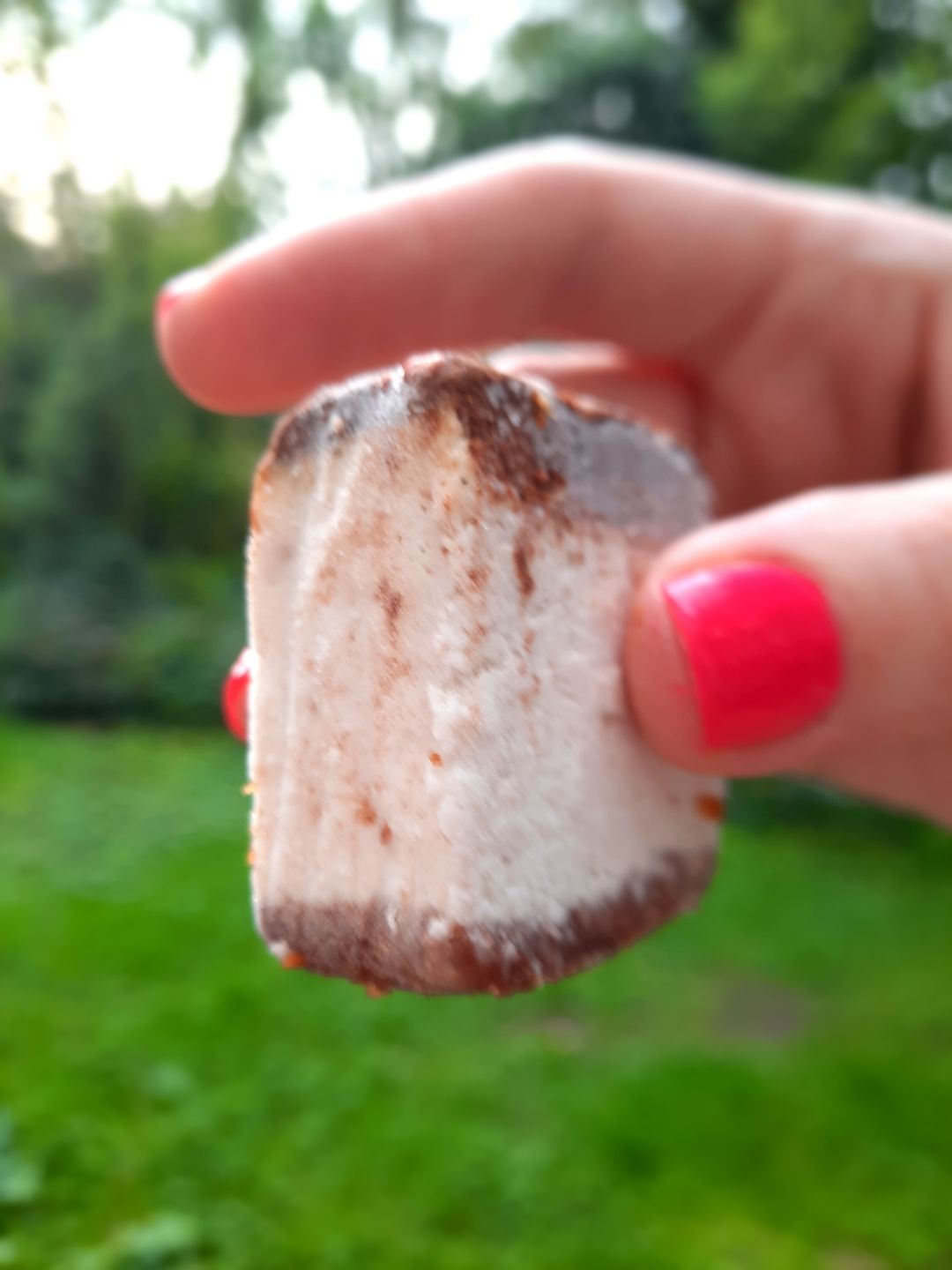 Customer photo review of Mixed Slice Box