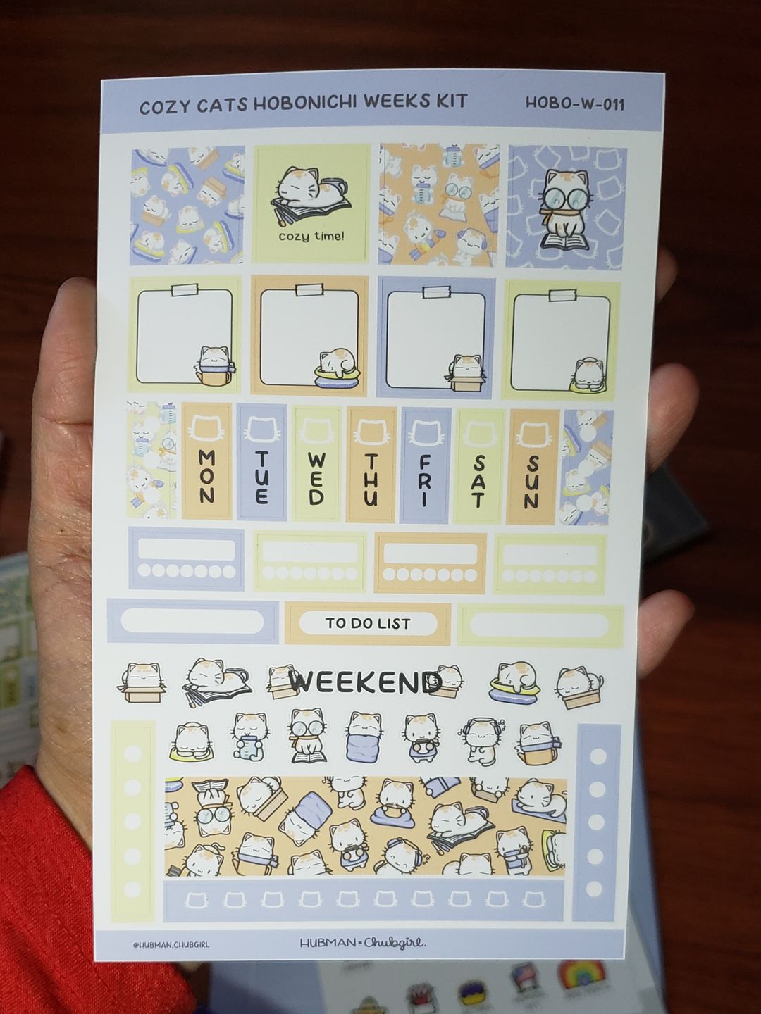 Customer photo review of Cozy Cats Theme Hobonichi Weeks Kit