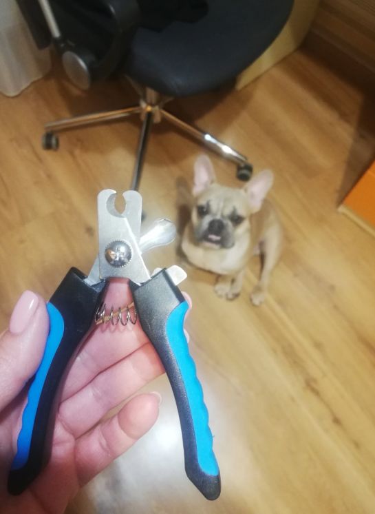 Customer photo review of 犬用爪切り