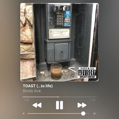 Customer photo review of Silver Playlist Pack: 250k