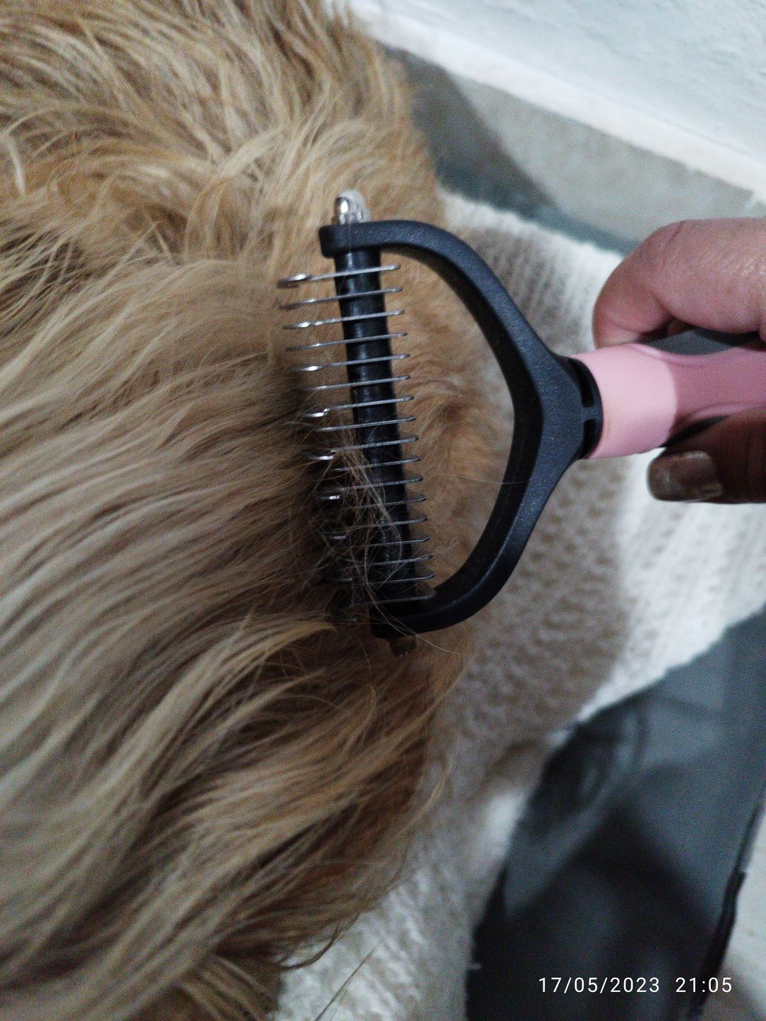 Customer photo review of Cepillo Cortador de Nudos de Pelo para Mascotas Milgenial