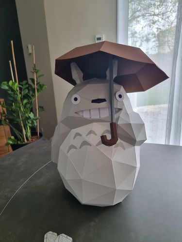 Customer photo review of Patrons Totoro (pdf)