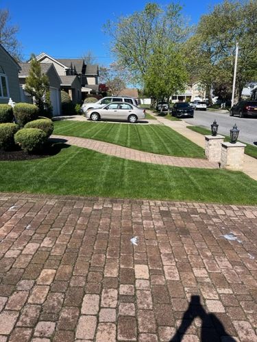 Customer photo review of GCI Turf Ca (Calcium) 1-0-1