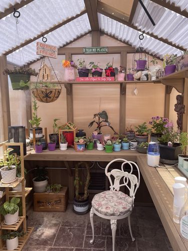 Customer photo review of Houseplant Insecticide w/ Neem