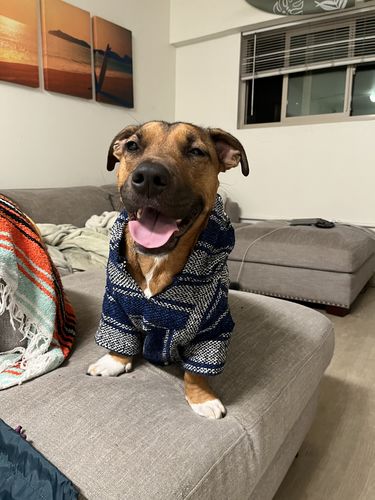 Customer photo review of Playa Poncho - Surprise Color