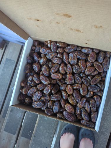 Customer photo review of "Darn It" Medjool Cooking Dates