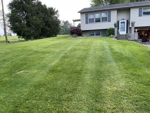 Customer photo review of Flowzone Typhoon 2.5