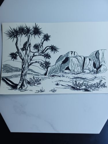 Customer photo review of Build Your Own SketchBox!