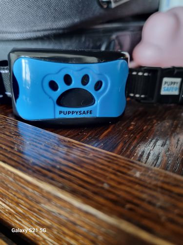 Customer photo review of Collier Anti Aboiement PuppySafe™