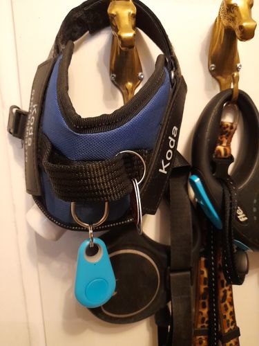 Customer photo review of Haustiere GPS-Tracker & Aktivitätsmonitor