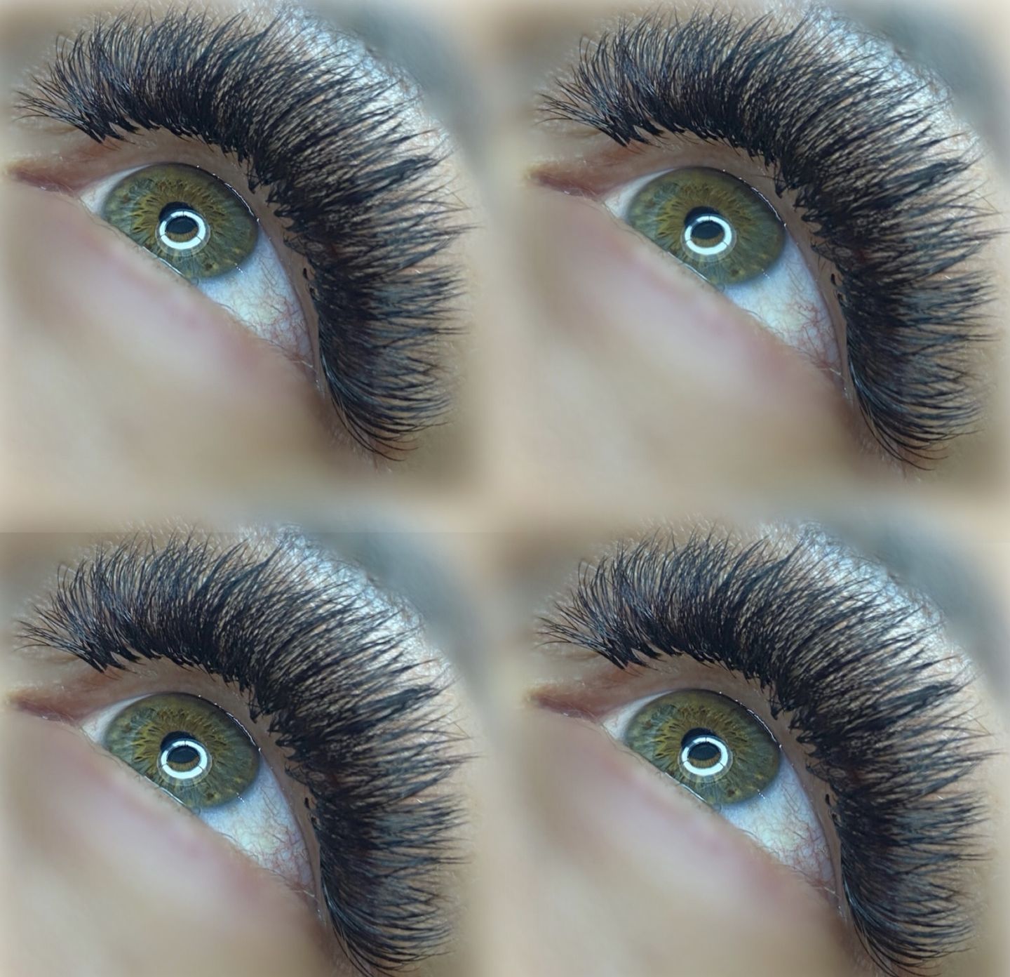 Customer photo review of PRO MADE 10D 0.07 RUSSIAN FANS (LOOSE BOX OF 500)