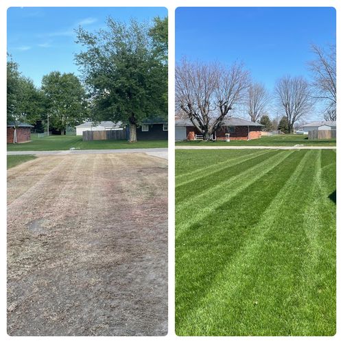 Customer photo review of GCI Turf Spreader Elite Grass Seed