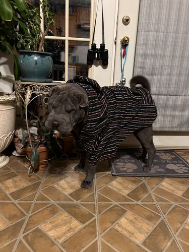 Customer photo review of Playa Poncho - Surprise Color