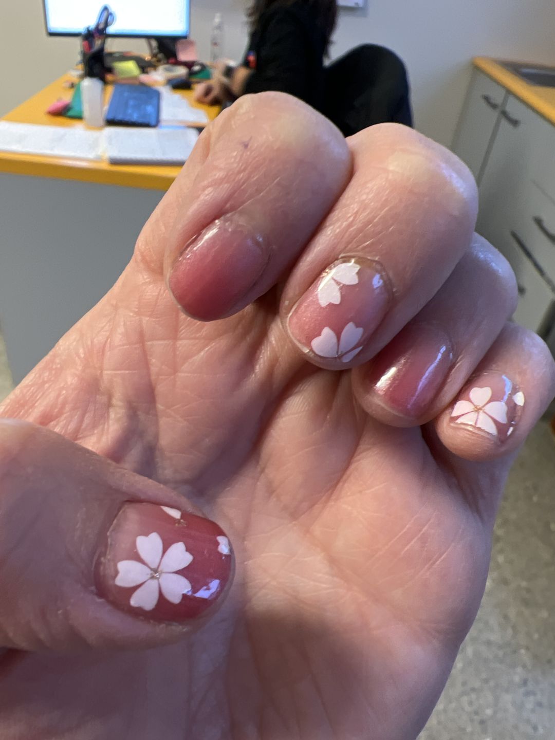 Customer photo review of Cherry Blossom