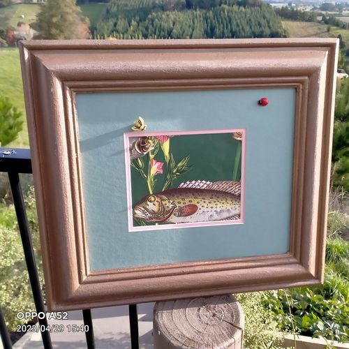 Customer photo review of Lagoon Fish Wallpaper - 2 Colours