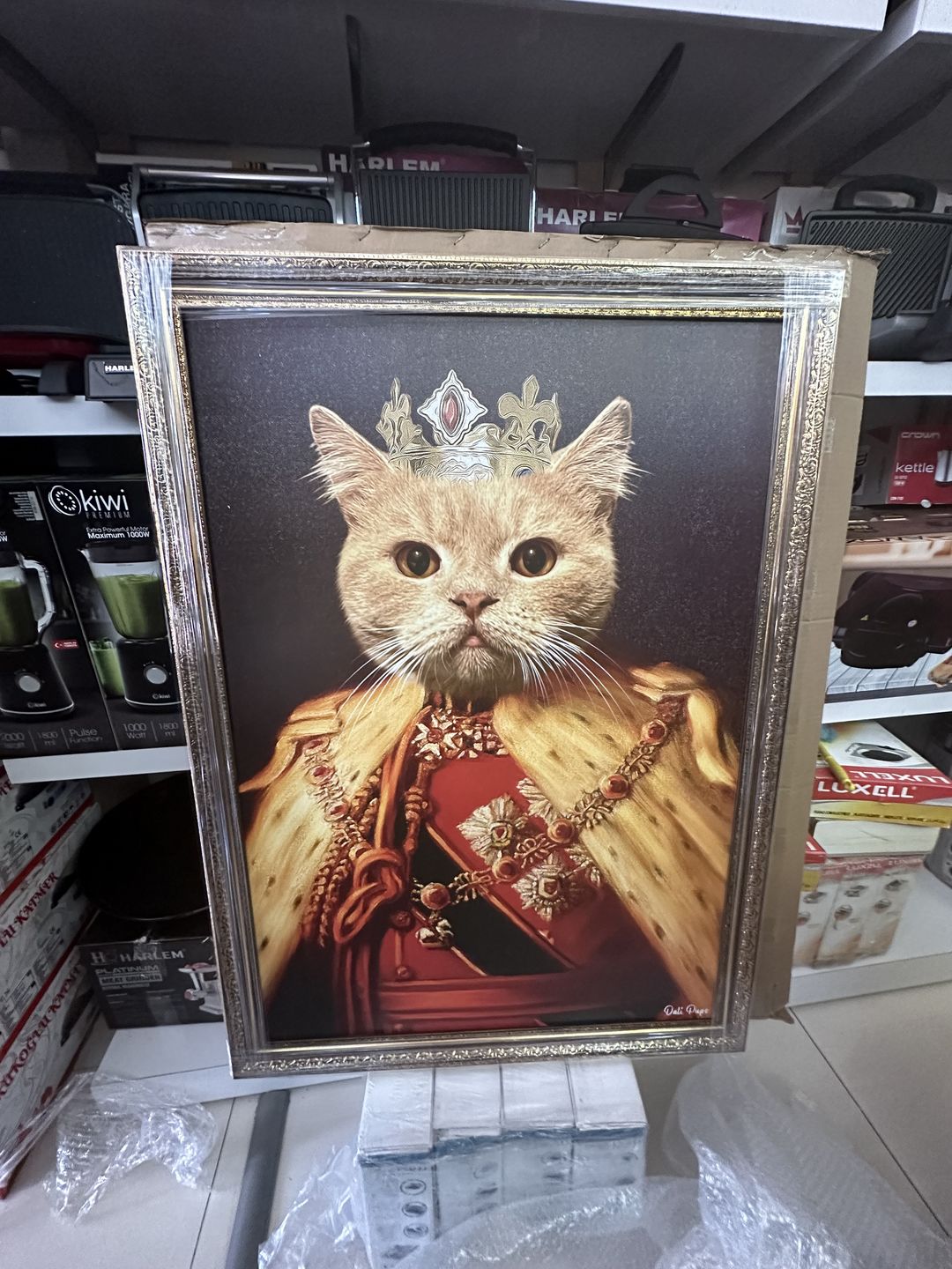 Customer photo review of The King of the Seven Kingdoms