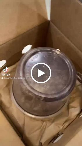 Customer video review of GrubTerra Fresh Black Soldier Fly Larvae for Reptiles