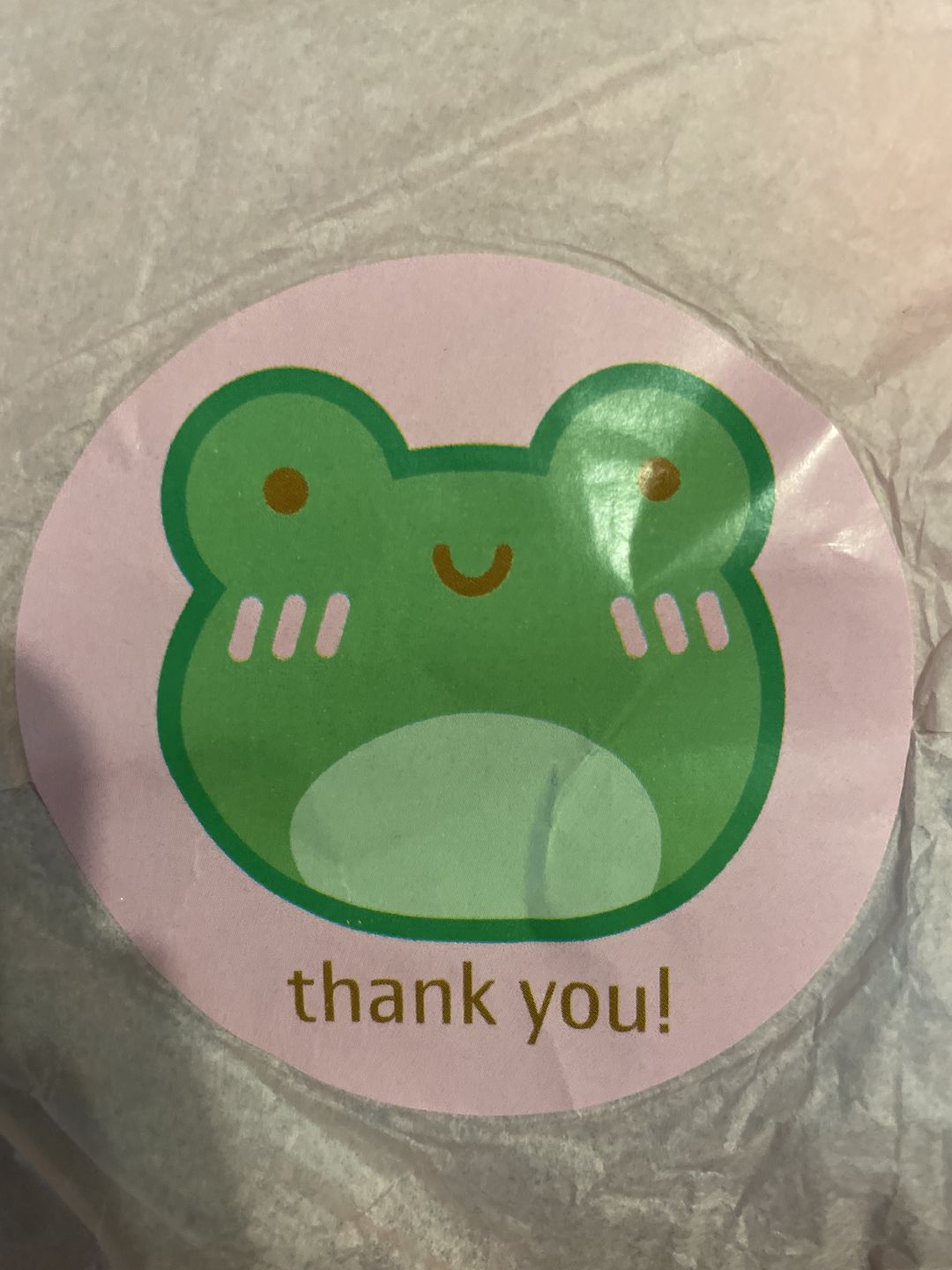 Customer photo review of Organic Cotton I Clog Toilets Sweatshirt