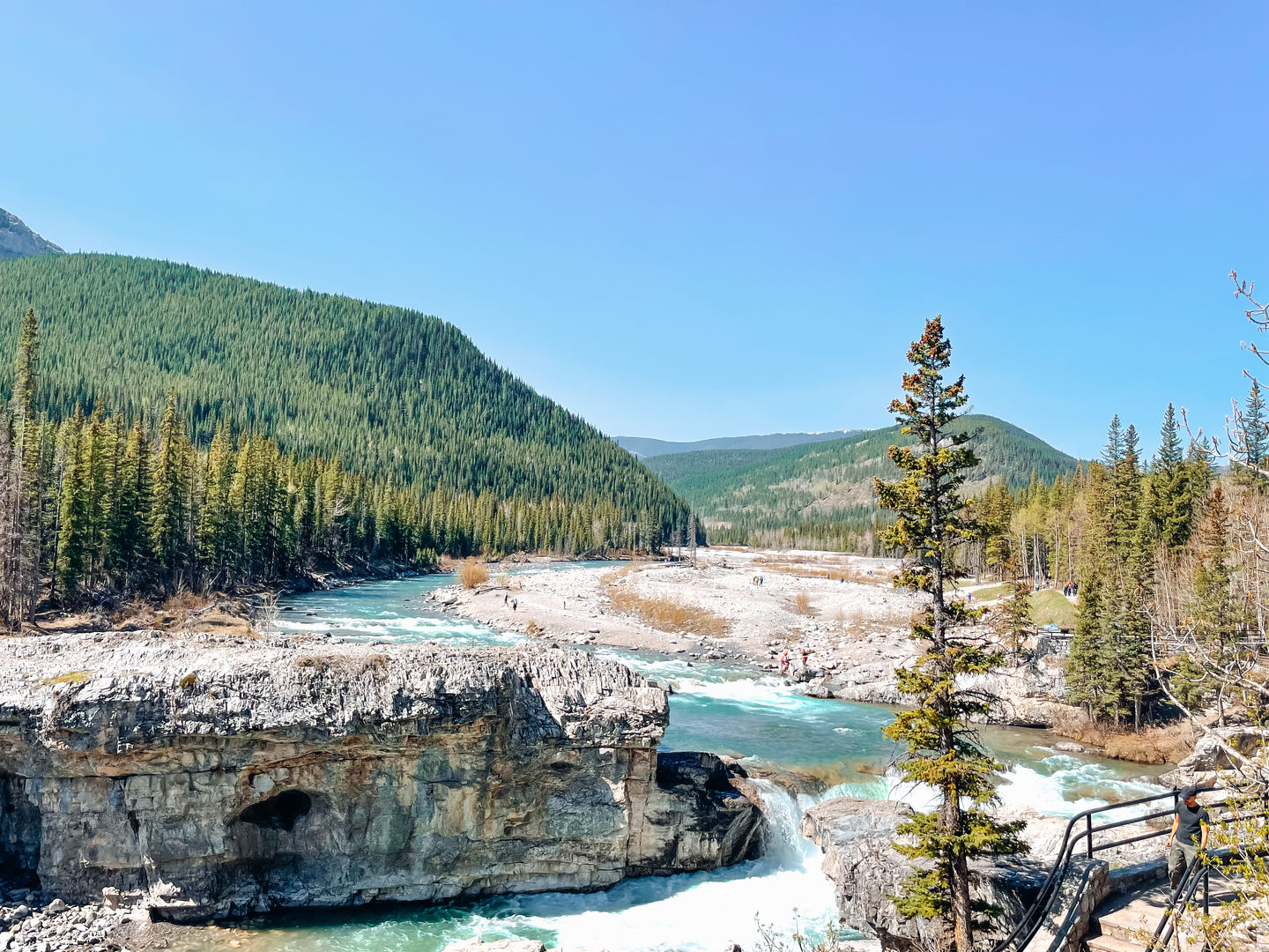 Customer photo review of NATURE LIGHTROOM PRESETS