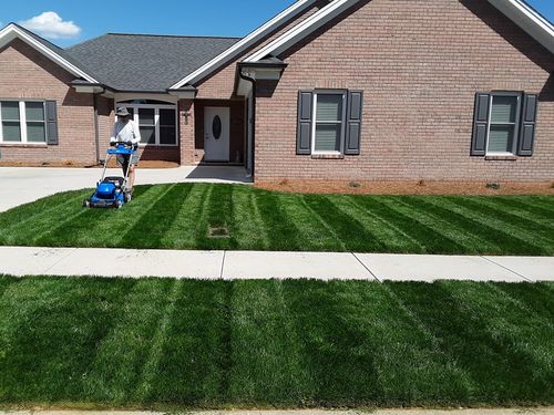 Customer photo review of Protene Performance Summer Fertilizer
