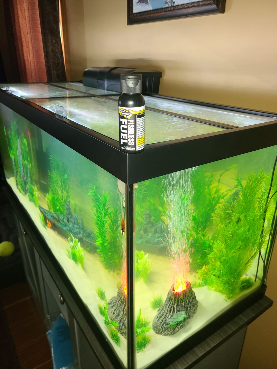 Customer photo review of Fritz Fishless Fuel (Liquid Ammonia Solution)