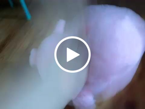 Customer video review of Xoxi The Axolotl Plushie
