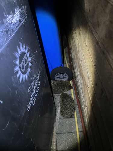 Customer photo review of Mr Johnsons Wildlife Hedgehog Food 750g